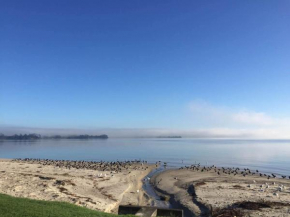 Black Swan Retreat, Clarks Beach
